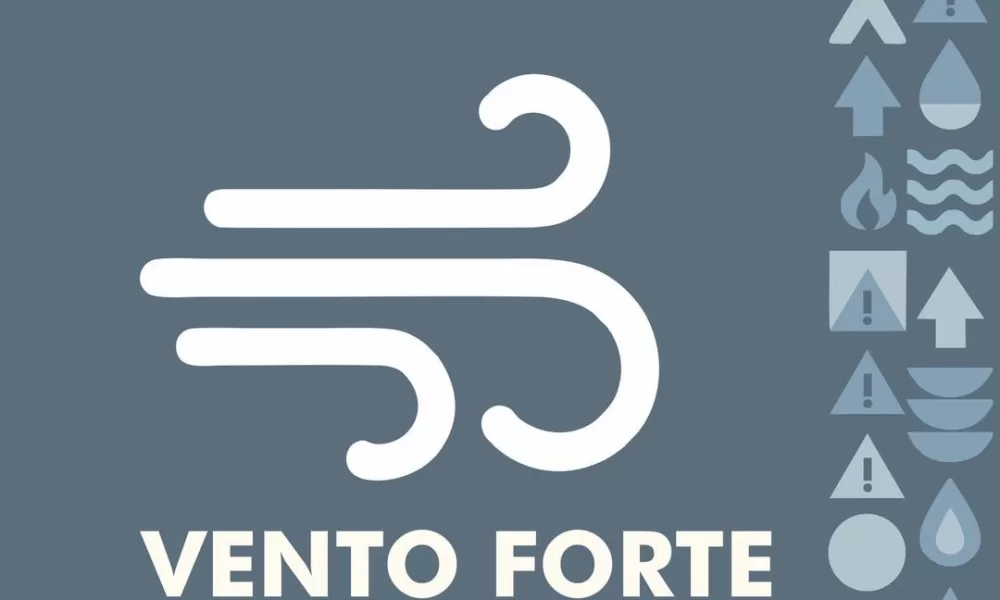 Aviso Laranja | Vento forte (28 de janeiro 2026) 

O Serviço Municipal de Prote…