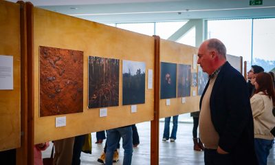 Biólogo e fotógrafo Daniel Santos apresenta livro “Salamandra Dourada” no Centro Cultural de Paredes