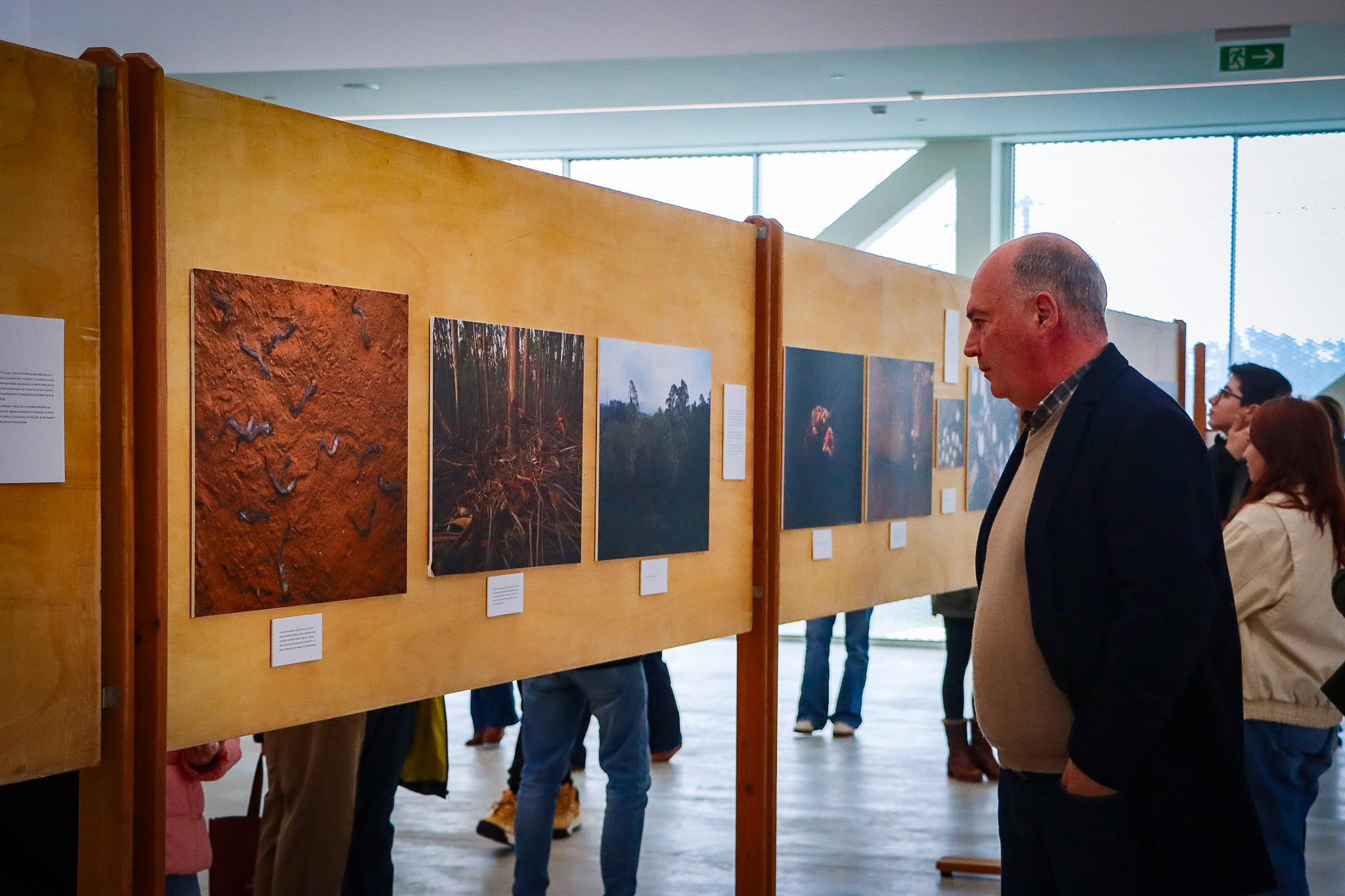 Biólogo e fotógrafo Daniel Santos apresenta livro “Salamandra Dourada” no Centro Cultural de Paredes