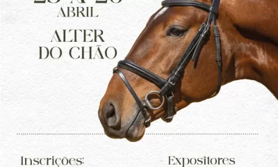 Alter do Chão abre inscrições para a 9.ª Feira de São Marcos: O pulsar da tradição em abril