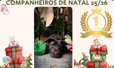 CROA Paredes anuncia vencedores do concurso fotográfico de animais “Companheiros de Natal”