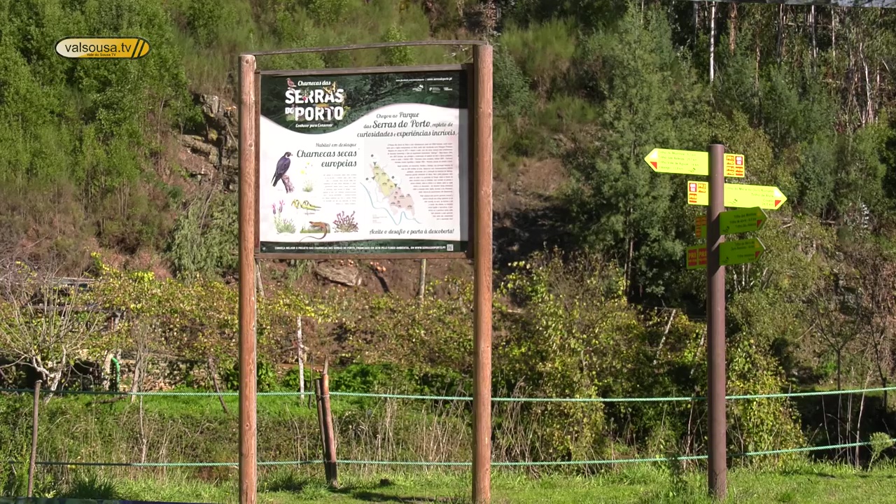 Caminhada “Vamos Arejar” percorre Trilho das Aldeias em Paredes este sábado