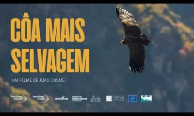 Documentário “Côa Mais Selvagem”