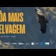 Documentário “Côa Mais Selvagem”