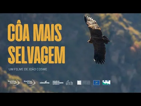 Documentário “Côa Mais Selvagem”