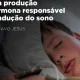 Como é que os ecrãs afetam a forma como dormimos?  

«A utilização imoderada da …