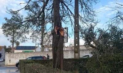 Constrangimentos no trânsito em Alcáçovas

A Câmara Municipal de Viana do Alente…
