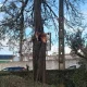 Constrangimentos no trânsito em Alcáçovas

A Câmara Municipal de Viana do Alente…