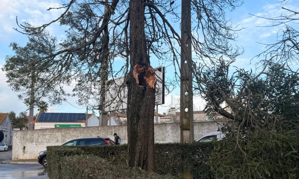 Constrangimentos no trânsito em Alcáçovas

A Câmara Municipal de Viana do Alente…