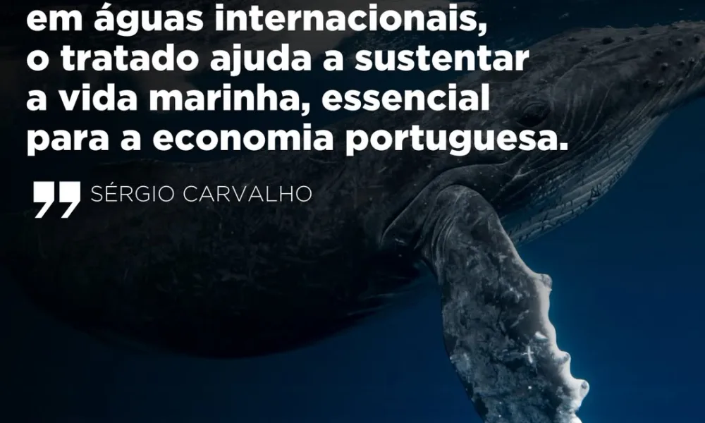 Entrou este mês em vigor  o «Tratado do Alto Mar», após 20 anos de negociações e…