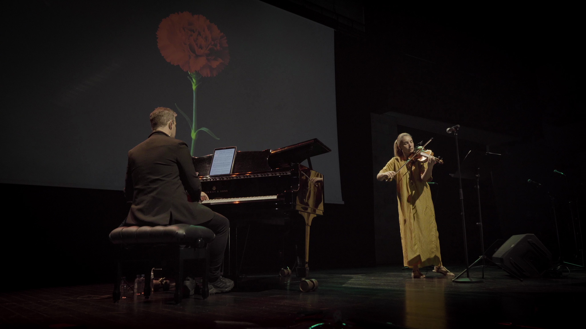 Espetáculo “Portugal por um Violino” estreia em Felgueiras com viagem musical pelas regiões