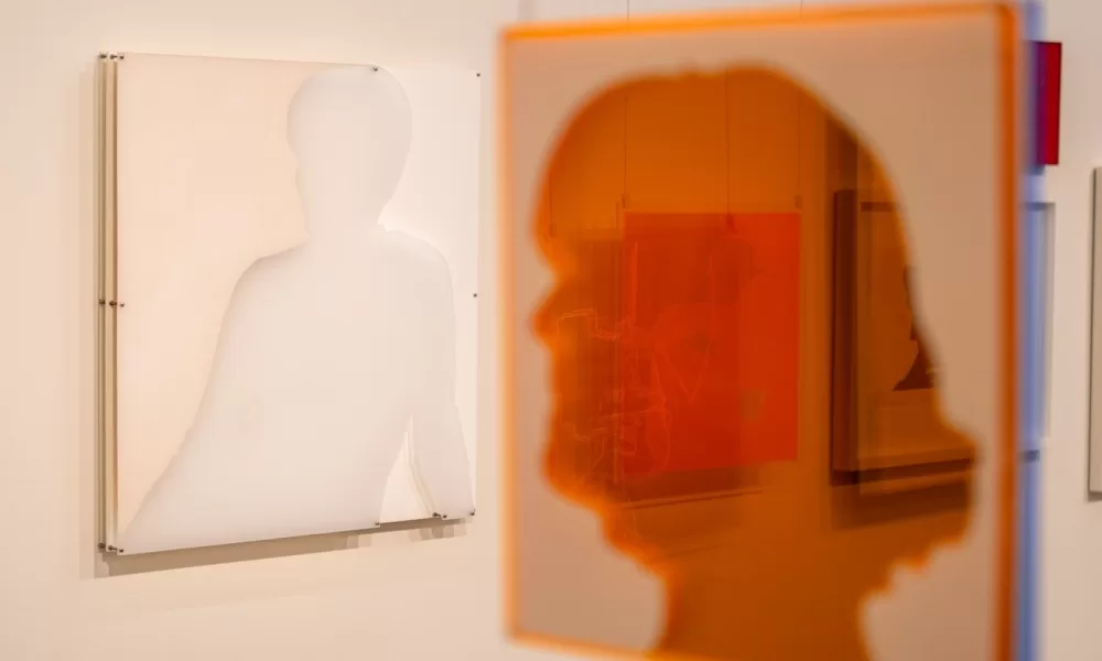Exposição “Lourdes Castro: existe luz na sombra” e Colóquio “Sombra-Luz” 
→ a nã…