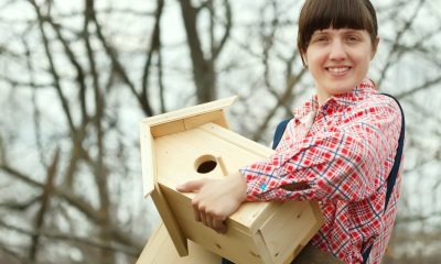 Famílias de Paços de Ferreira constroem abrigos para aves em oficina no Observatório