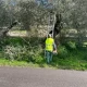 Limpeza e poda de árvores em caminhos municipais

O Município de Viana iniciou, …