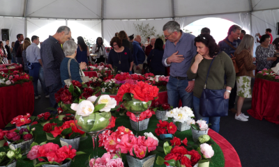 Candidaturas abertas até 3 de fevereiro para o Mercado das Camélias de Lousada