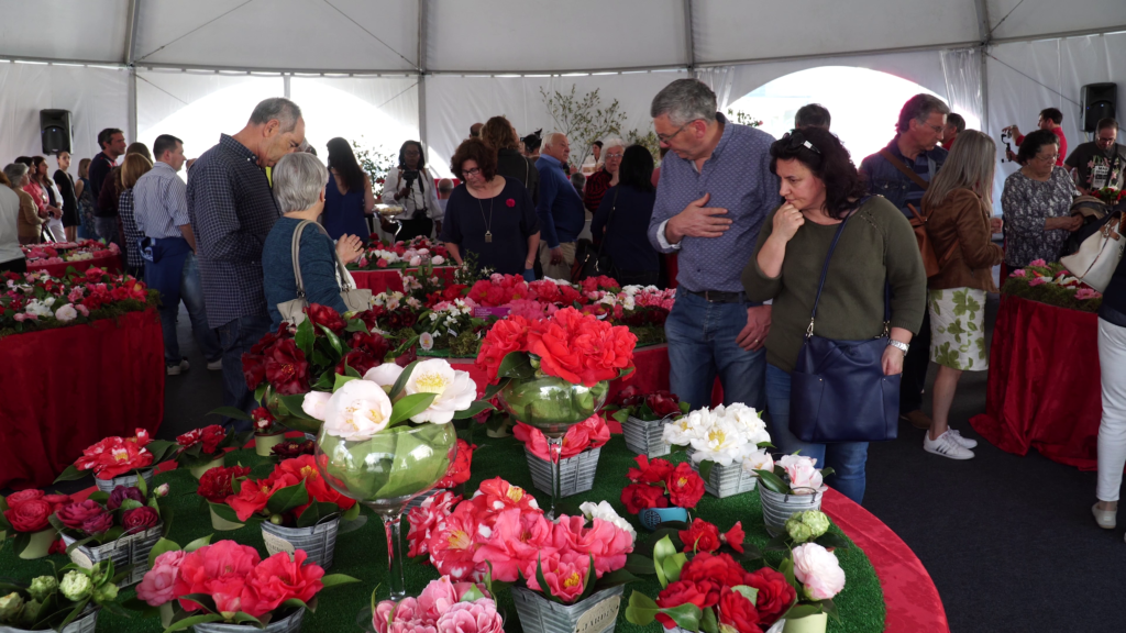 Candidaturas abertas até 3 de fevereiro para o Mercado das Camélias de Lousada