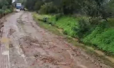 Município prepara melhoria das azinhagas com prestação de serviços 

O Município…