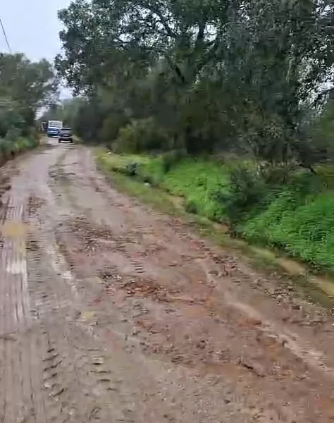 Município prepara melhoria das azinhagas com prestação de serviços 

O Município…