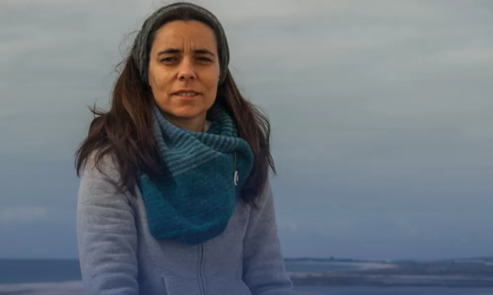 No mais recente e-book ’ Algarve – Economia Azul – Inovação e Fundos na Região’ …