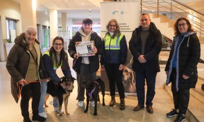 Paredes premeia fotografias que celebram o vínculo com animais de companhia no Natal