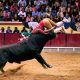 Feira Taurina de Olivença volta a marcar o arranque da temporada espanhola em março de 2026