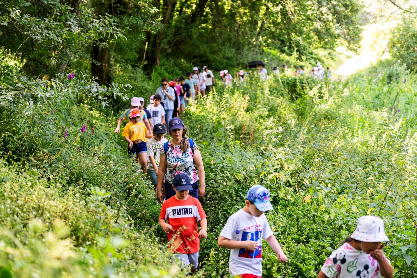 Penafiel envolveu cerca de 4 mil pessoas em ações de educação ambiental em 2025