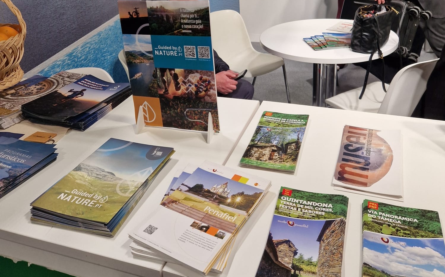 Plataforma de turismo de natureza da região Douro, Tâmega e Sousa promovida na feira internacional de Madrid