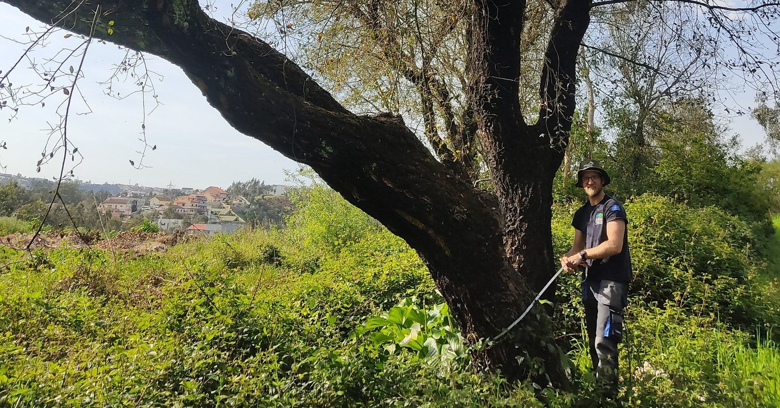 Projeto Gigantes Verdes abre inscrições para formar Embaixadores da floresta nativa