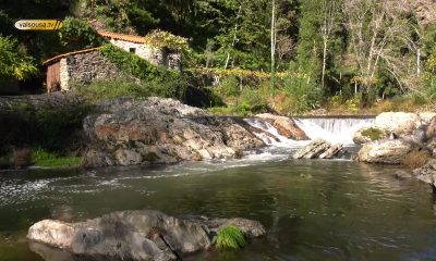 Salto Nature Trail regressa em abril com trilhos exigentes no Parque Natural da Senhora do Salto em Aguiar de Sousa