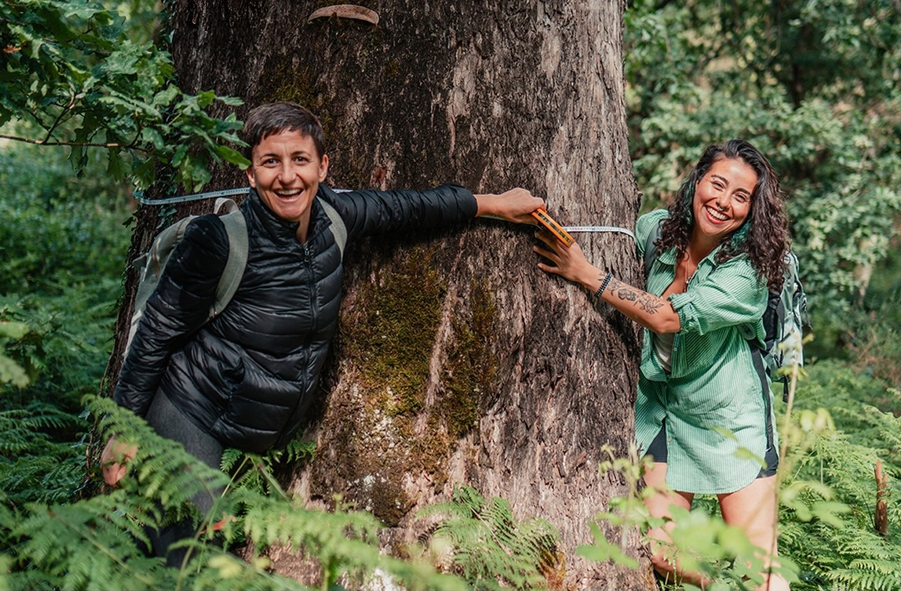 Sessões online apresentam projeto Gigantes Verdes e formação de embaixadores em defesa das árvores de grande porte