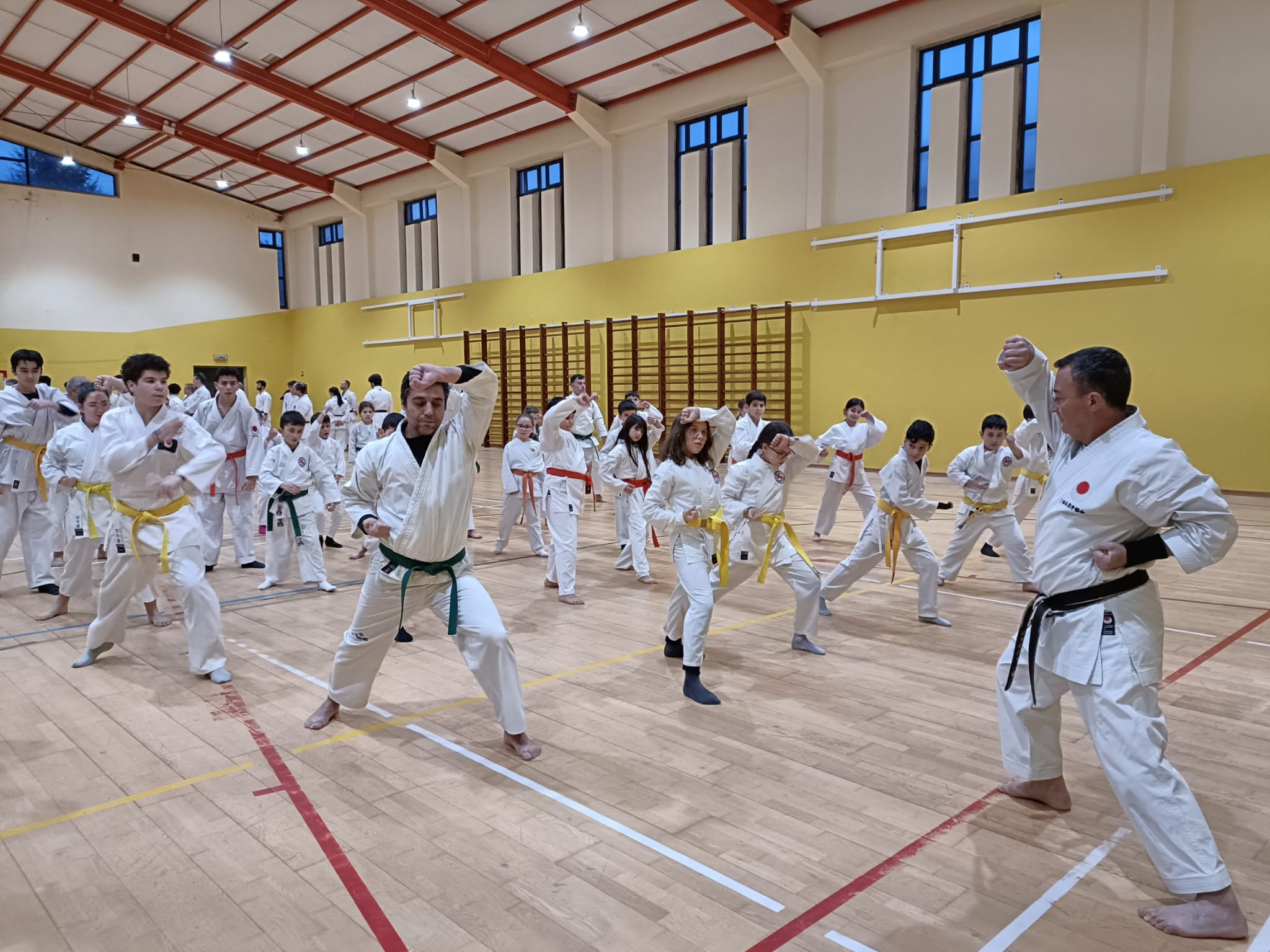 Treino de Karaté de alto nível reúne dezenas de atletas em Celorico de Basto
