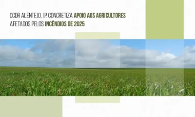 CCDR Alentejo concretiza apoio aos agricultores afetados pelos incêndios de 2025 « Comissão de Coordenação e Desenvolvimento Regional do Alentejo, I.P.