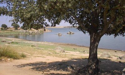 Barragem do Caia à beira da capacidade máxima: descargas em vista pelo quarto ano consecutivo