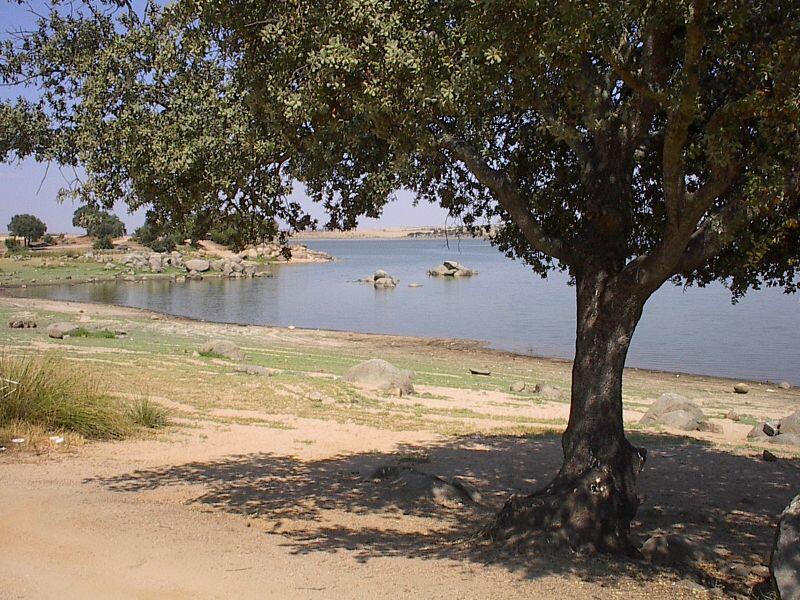 Barragem do Caia à beira da capacidade máxima: descargas em vista pelo quarto ano consecutivo