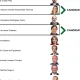 Porque é que o boletim de voto tem candidatos que já não podem ser eleitos?