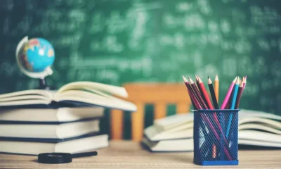 Cessação abrupta nas ONGA leva docentes a avançar com cautelar
