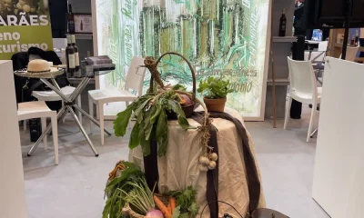 “Guimarães, Raiz Verde” – Arte, Cultura e Ambiente em destaque na Bolsa de Turismo de Lisboa 2023
