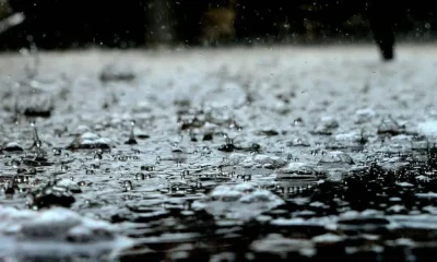 Depressão Ingrid atravessa Portugal: Alentejo sob aviso devido a chuva e vento forte
