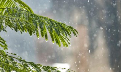 Portalegre enfrenta semana de frio rigoroso e instabilidade atmosférica sob influência da Serra de São Mamede