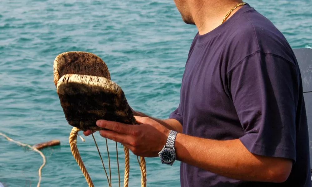 Governo cria o estatuto do Jovem Pescador