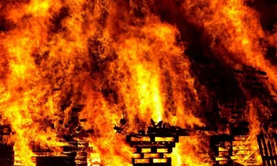 Portugal reforça combate ao fogo com 12 milhões para novas máquinas de gestão de combustível
