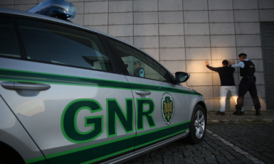 Beja: GNR recupera 37 bovinos furtados e detém dez pessoas em balanço semanal