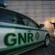 Beja: GNR recupera 37 bovinos furtados e detém dez pessoas em balanço semanal