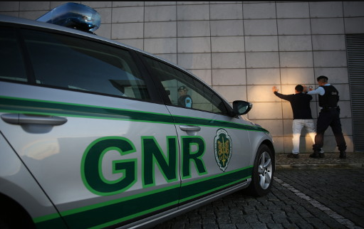 Beja: GNR recupera 37 bovinos furtados e detém dez pessoas em balanço semanal