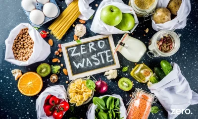 ZERO – Associação Sistema Terrestre Sustentável