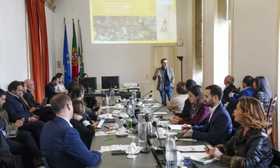 Guimarães lança Plano Estratégico Municipal para Cultura 2032 para consulta pública