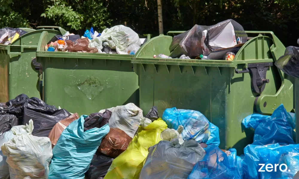 ZERO – Associação Sistema Terrestre Sustentável