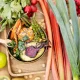 Município de Guimarães alarga oferta de refeições vegetarianas a todos os ciclos de ensino e secundário