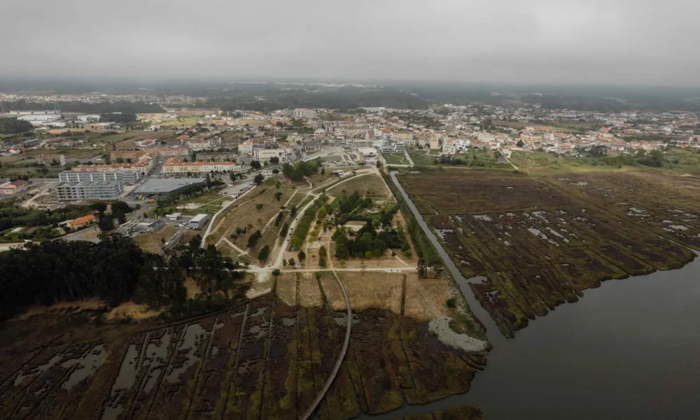 CM Vagos / Orçamento Municipal e Grandes Opções do Plano para 2026 aprovado