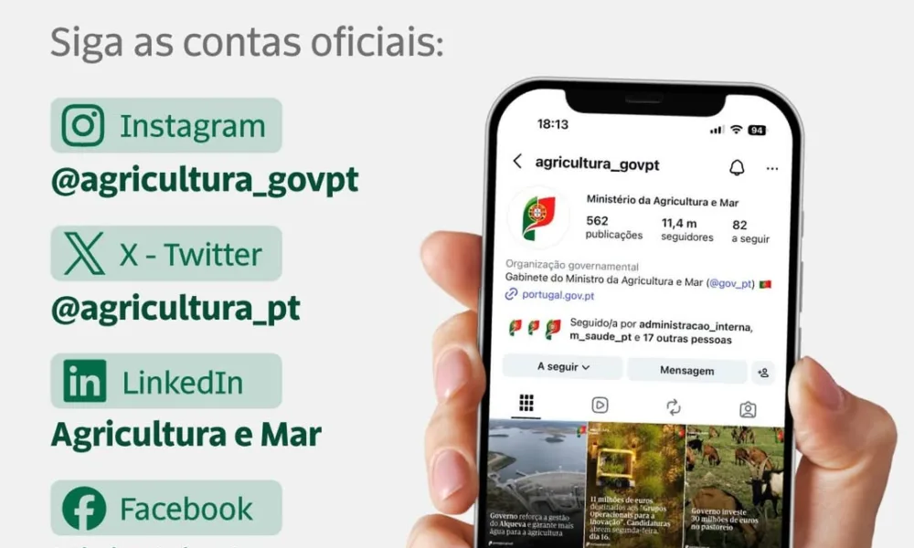 Os comentários foram desativados para esta publicação.